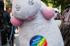 IMG_1296