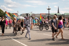 CSD-HH-2018-20
