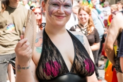 CSD-HH-2018-29